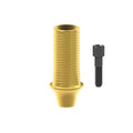 Black screw