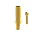 Angled screw
