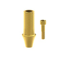 Angled screw