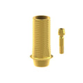 TiN screw