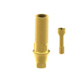 Angled screw