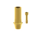Angled screw