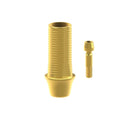 TiN screw