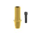 Black screw