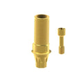 Angled screw