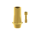 Angled screw