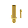 TiN screw