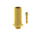 TiN screw