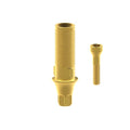 Angled screw