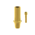 TiN screw