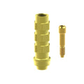 TiN screw