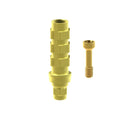 Angled screw