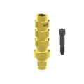Black screw