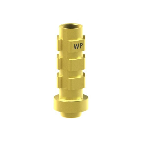 ia-pw-07__ingen