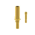 TiN screw