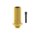 Black screw
