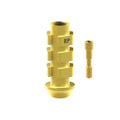 TiN screw