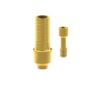 TiN screw