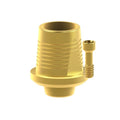 Angled screw