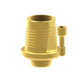 TiN screw