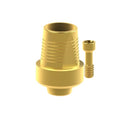 Angled screw