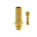 TiN screw