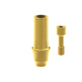 TiN screw