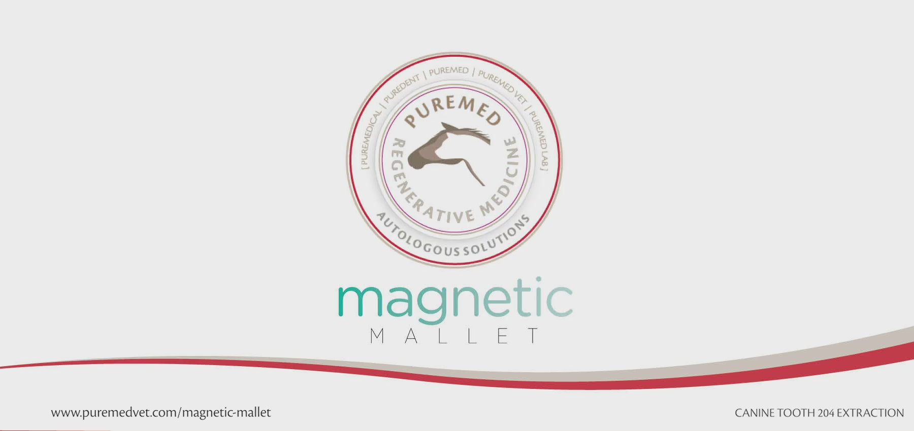 Load video: Tandekstraktion af 206 med Magnetic Mallet