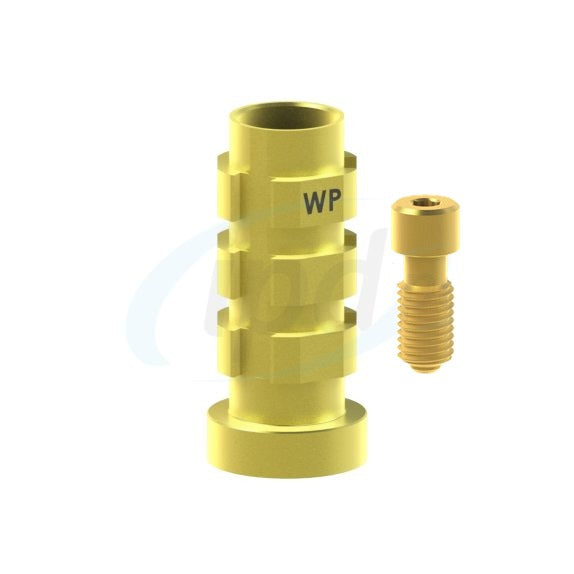 ra-pw-07__tin