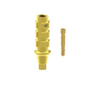 TiN screw