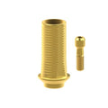 TiN screw