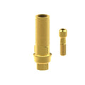 TiN screw