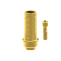 TiN screw