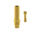 Angled screw