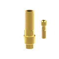TiN screw