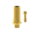 Angled screw