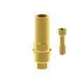 Angled screw