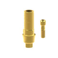 TiN screw