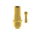 Angled screw