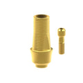 TiN screw