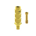 Angled screw