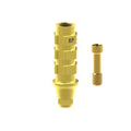 Angled screw