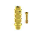 Angled screw