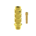 TiN screw