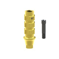 Black screw
