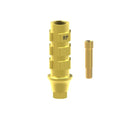 TiN screw