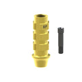 Black screw
