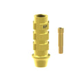 TiN screw