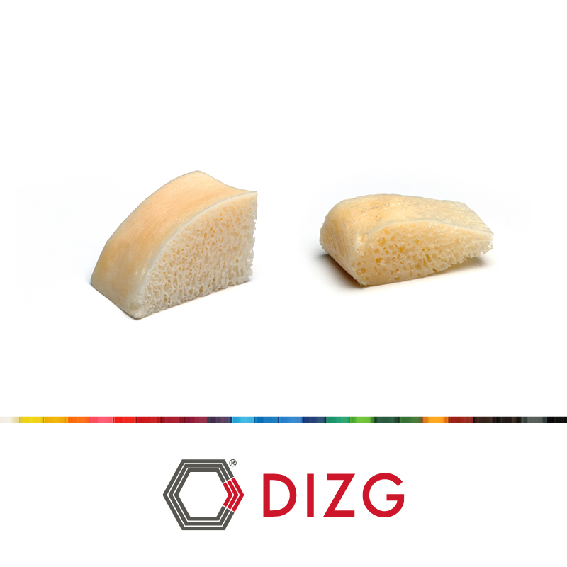 DIZG Allograft blocks